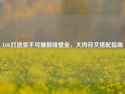 LOL打造坚不可摧前排壁垒，大肉符文搭配指南