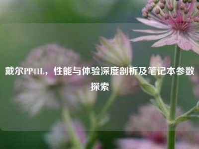 戴尔PP41L，性能与体验深度剖析及笔记本参数探索