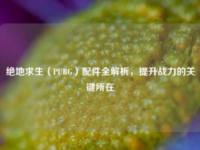 绝地求生（PUBG）配件全解析，提升战力的关键所在