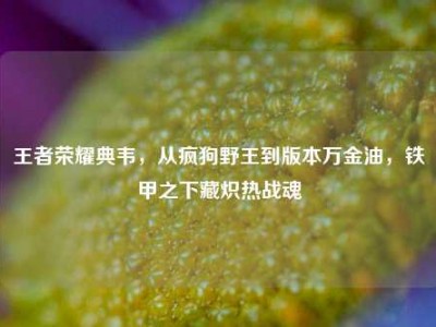 王者荣耀典韦，从疯狗野王到版本万金油，铁甲之下藏炽热战魂