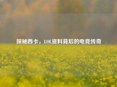 探秘西卡，LOL资料背后的电竞传奇