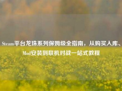 Steam平台龙珠系列保姆级全指南，从购买入库、Mod安装到联机对战一站式教程