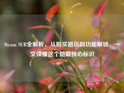 Steam SUB全解析，从购买避坑到功能解锁，一文读懂这个隐藏核心标识