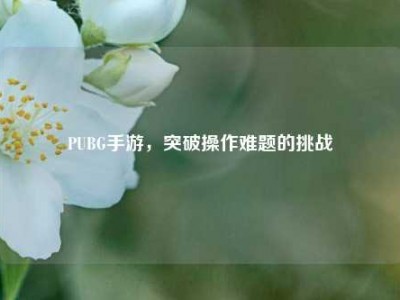 PUBG手游，突破操作难题的挑战