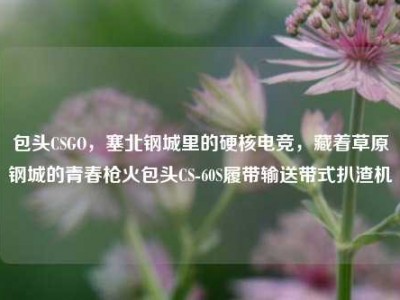 包头CSGO，塞北钢城里的硬核电竞，藏着草原钢城的青春枪火包头CS-60S履带输送带式扒渣机