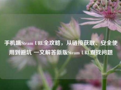 手机端Steam URL全攻略，从链接获取、安全使用到避坑 一文解答新版Steam URL查找问题