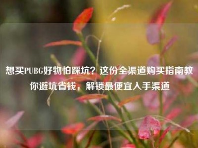 想买PUBG好物怕踩坑？这份全渠道购买指南教你避坑省钱，解锁最便宜入手渠道