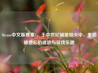 Steam中文版要塞2，于中世纪城堡烟火中，重拾被遗忘的建造与征伐乐趣