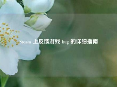 Steam 上反馈游戏 bug 的详细指南
