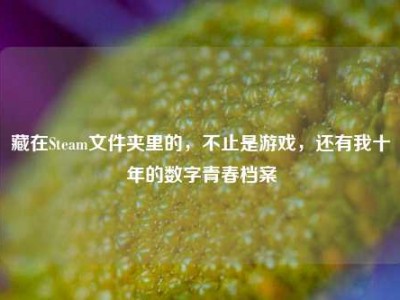 藏在Steam文件夹里的，不止是游戏，还有我十年的数字青春档案