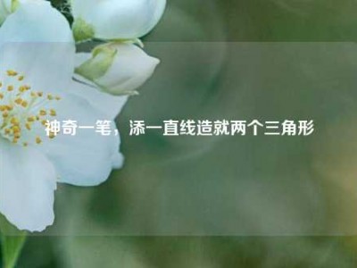 神奇一笔，添一直线造就两个三角形