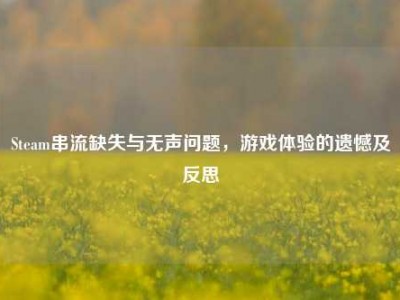 Steam串流缺失与无声问题，游戏体验的遗憾及反思