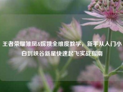 王者荣耀雏凤&嫦娥全维度教学，新手从入门小白到峡谷新星快速起飞实战指南