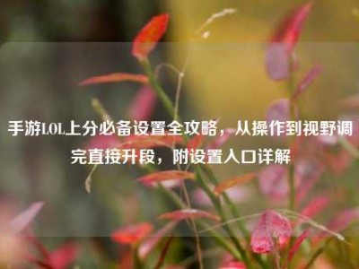 手游LOL上分必备设置全攻略，从操作到视野调完直接升段，附设置入口详解
