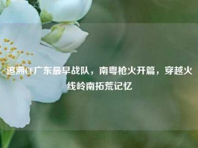 追溯CF广东最早战队，南粤枪火开篇，穿越火线岭南拓荒记忆