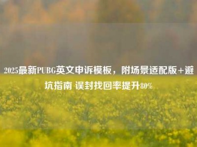 2025最新PUBG英文申诉模板，附场景适配版+避坑指南 误封找回率提升80%