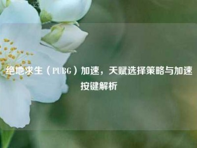 绝地求生（PUBG）加速，天赋选择策略与加速按键解析