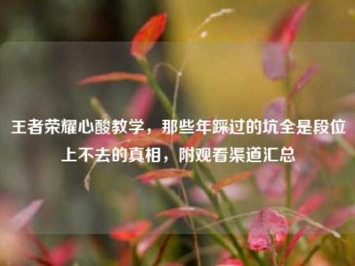 王者荣耀心酸教学，那些年踩过的坑全是段位上不去的真相，附观看渠道汇总