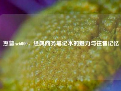 惠普nc6000，经典商务笔记本的魅力与往昔记忆
