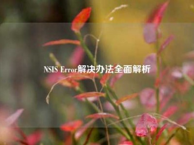 NSIS Error解决办法全面解析