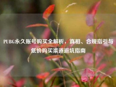 PUBG永久账号购买全解析，真相、合规指引与低价购买渠道避坑指南