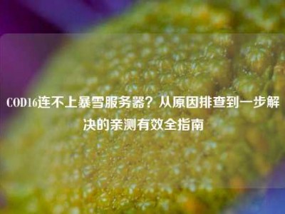 COD16连不上暴雪服务器？从原因排查到一步解决的亲测有效全指南