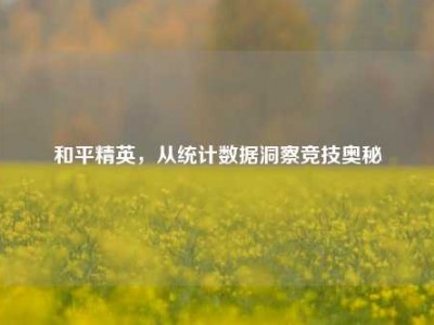和平精英，从统计数据洞察竞技奥秘
