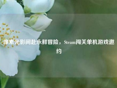 像素光影间赴永鲜冒险，Steam闯关单机游戏邀约