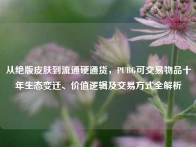 从绝版皮肤到流通硬通货，PUBG可交易物品十年生态变迁、价值逻辑及交易方式全解析