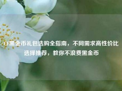 CF黑金币礼包选购全指南，不同需求高性价比选择推荐，教你不浪费黑金币