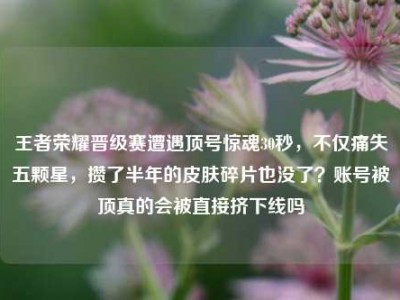 王者荣耀晋级赛遭遇顶号惊魂30秒，不仅痛失五颗星，攒了半年的皮肤碎片也没了？账号被顶真的会被直接挤下线吗