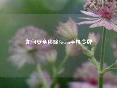 如何安全移除Steam手机令牌