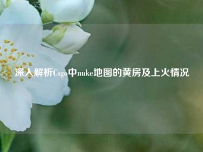 深入解析Csgo中nuke地图的黄房及上火情况