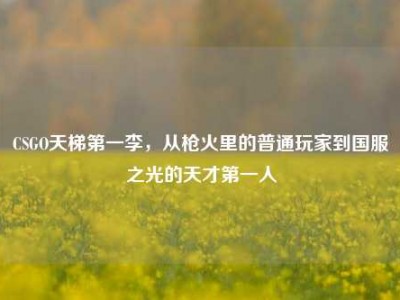 CSGO天梯第一李，从枪火里的普通玩家到国服之光的天才第一人