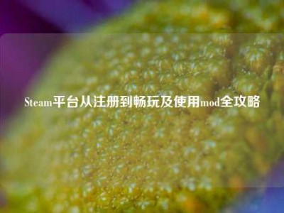 Steam平台从注册到畅玩及使用mod全攻略