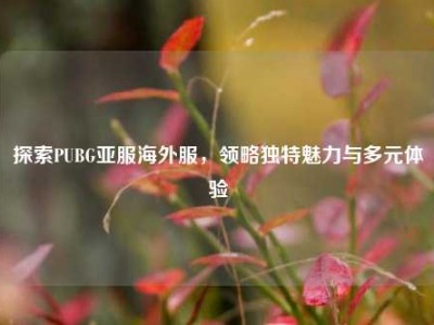 探索PUBG亚服海外服，领略独特魅力与多元体验