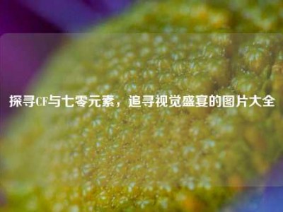探寻CF与七零元素，追寻视觉盛宴的图片大全