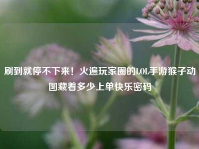 刷到就停不下来！火遍玩家圈的LOL手游猴子动图藏着多少上单快乐密码