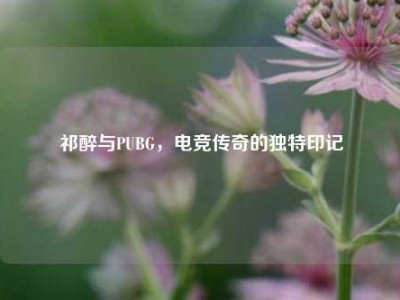祁醉与PUBG，电竞传奇的独特印记