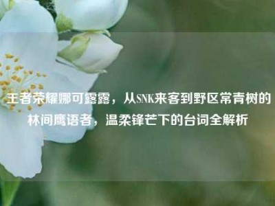 王者荣耀娜可露露，从SNK来客到野区常青树的林间鹰语者，温柔锋芒下的台词全解析