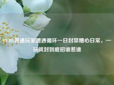 PUBG普通玩家遭遇循环一日封禁糟心日常，一玩就封到底招谁惹谁