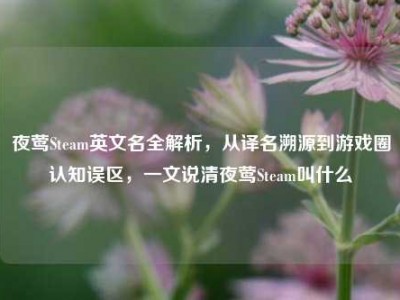 夜莺Steam英文名全解析，从译名溯源到游戏圈认知误区，一文说清夜莺Steam叫什么