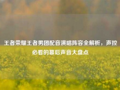 王者荣耀王者男团配音演唱阵容全解析，声控必看的幕后声音大盘点