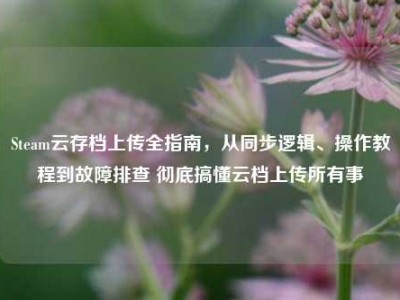 Steam云存档上传全指南，从同步逻辑、操作教程到故障排查 彻底搞懂云档上传所有事