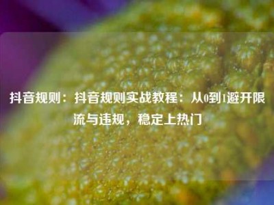 抖音规则：抖音规则实战教程：从0到1避开限流与违规，稳定上热门