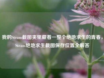 我的Steam截图夹里藏着一整个绝地求生的青春，Steam绝地求生截图保存位置全解答