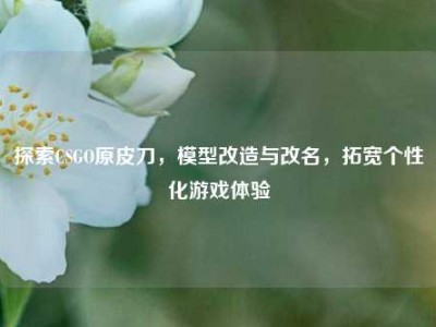探索CSGO原皮刀，模型改造与改名，拓宽个性化游戏体验