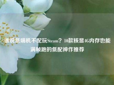 谁说低端机不配玩Steam？10款核显4G内存也能满帧跑的低配神作推荐