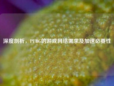 深度剖析，PUBG的游戏网络需求及加速必要性