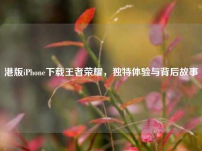 港版iPhone下载王者荣耀，独特体验与背后故事